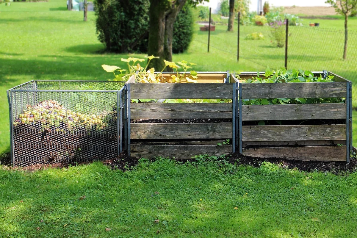 Compostage et nutrition : l'or du jardinier