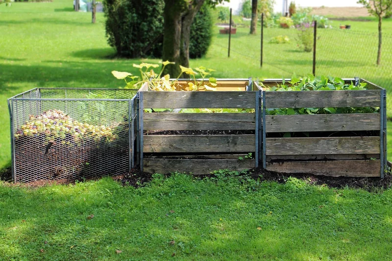 Compostage et nutrition : l'or du jardinier